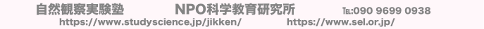 自然観察実験塾　　　　NPO科学教育研究所 　  　　℡:090 9699 0938　 
https